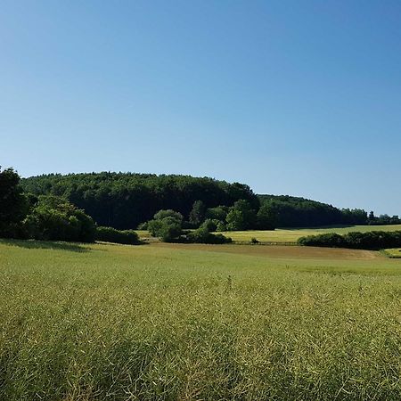 Ferienhaus Forstblick Betzenstein Exteriér fotografie