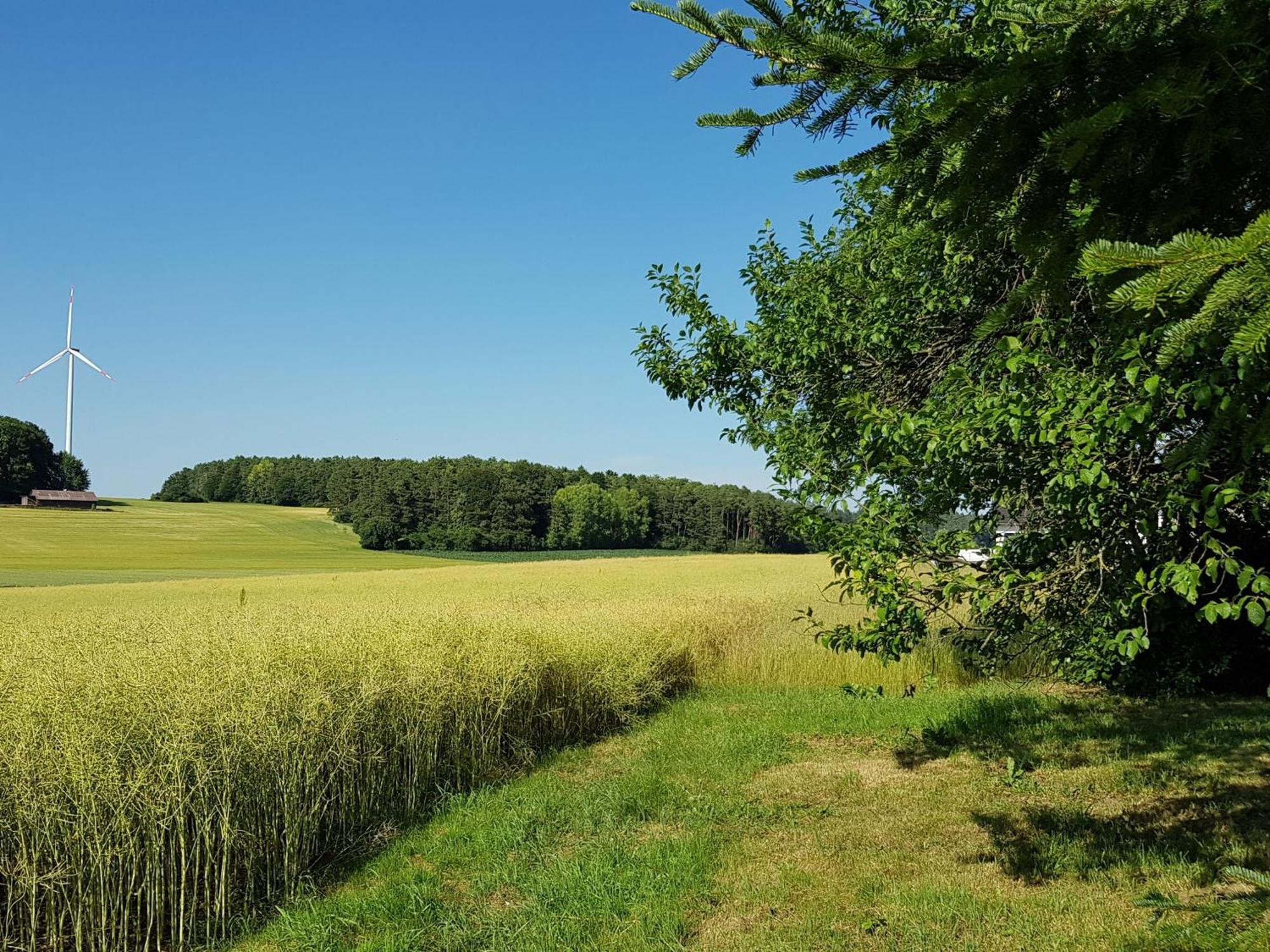 Ferienhaus Forstblick Betzenstein Exteriér fotografie