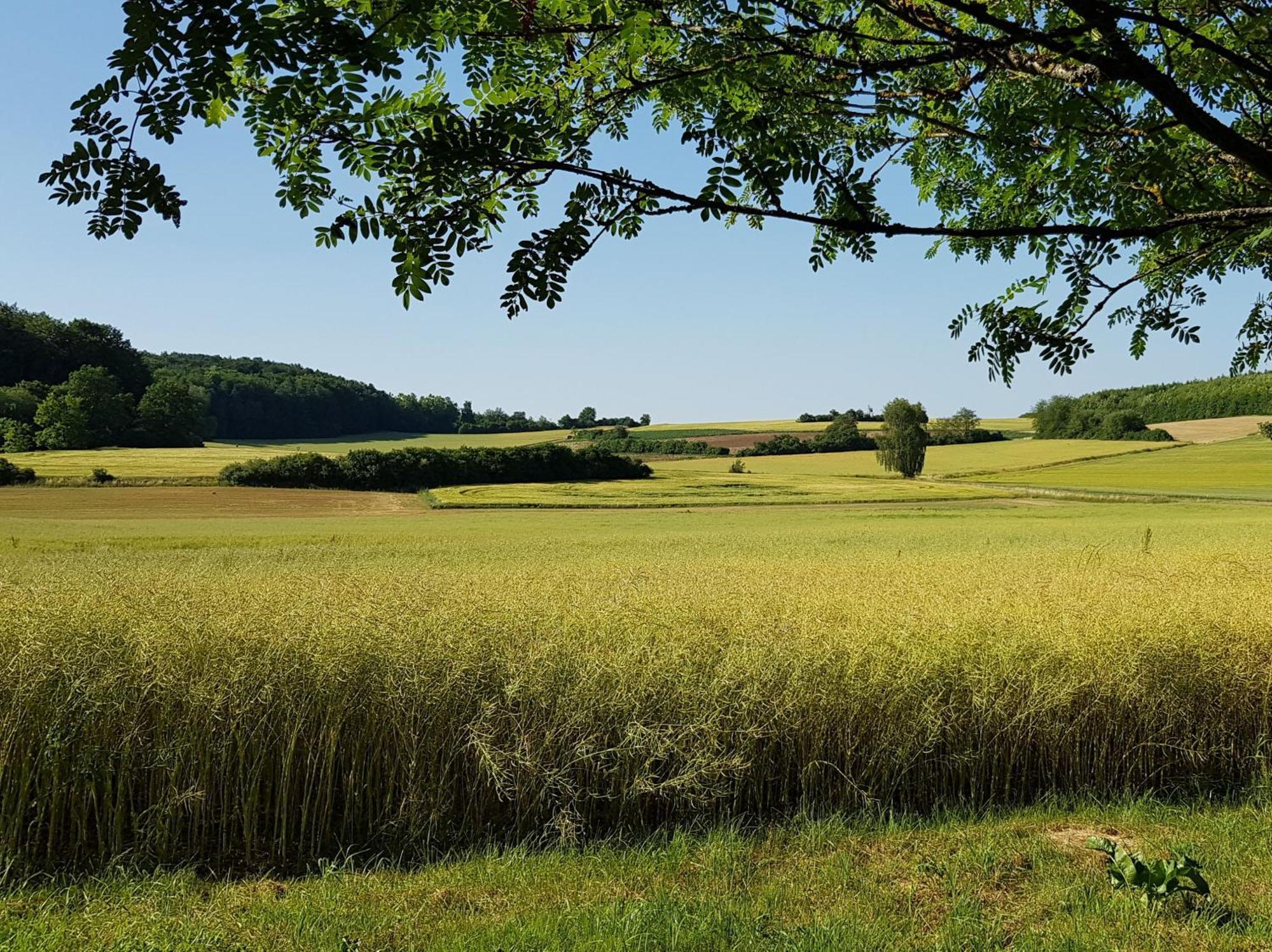 Ferienhaus Forstblick Betzenstein Exteriér fotografie