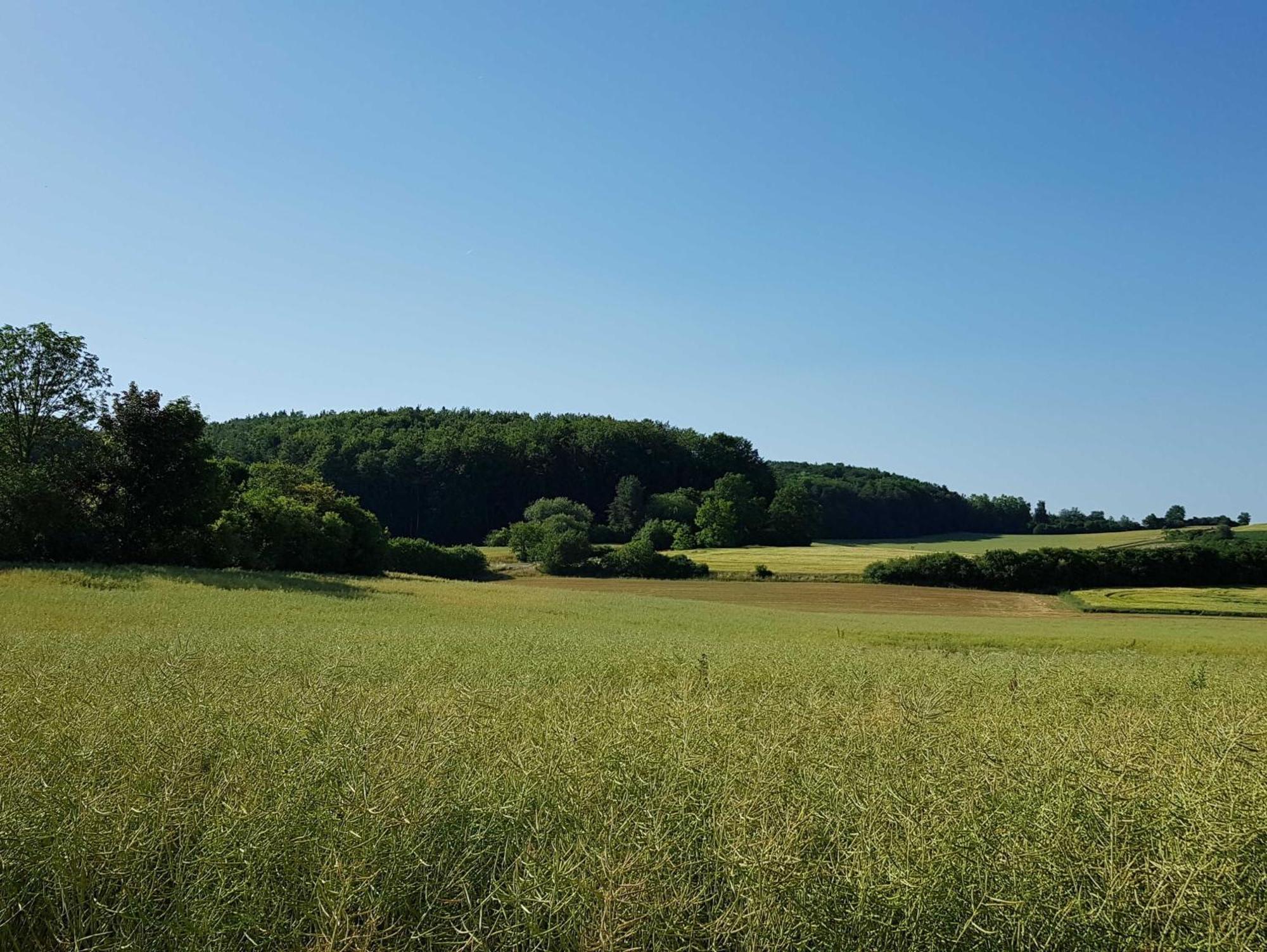Ferienhaus Forstblick Betzenstein Exteriér fotografie