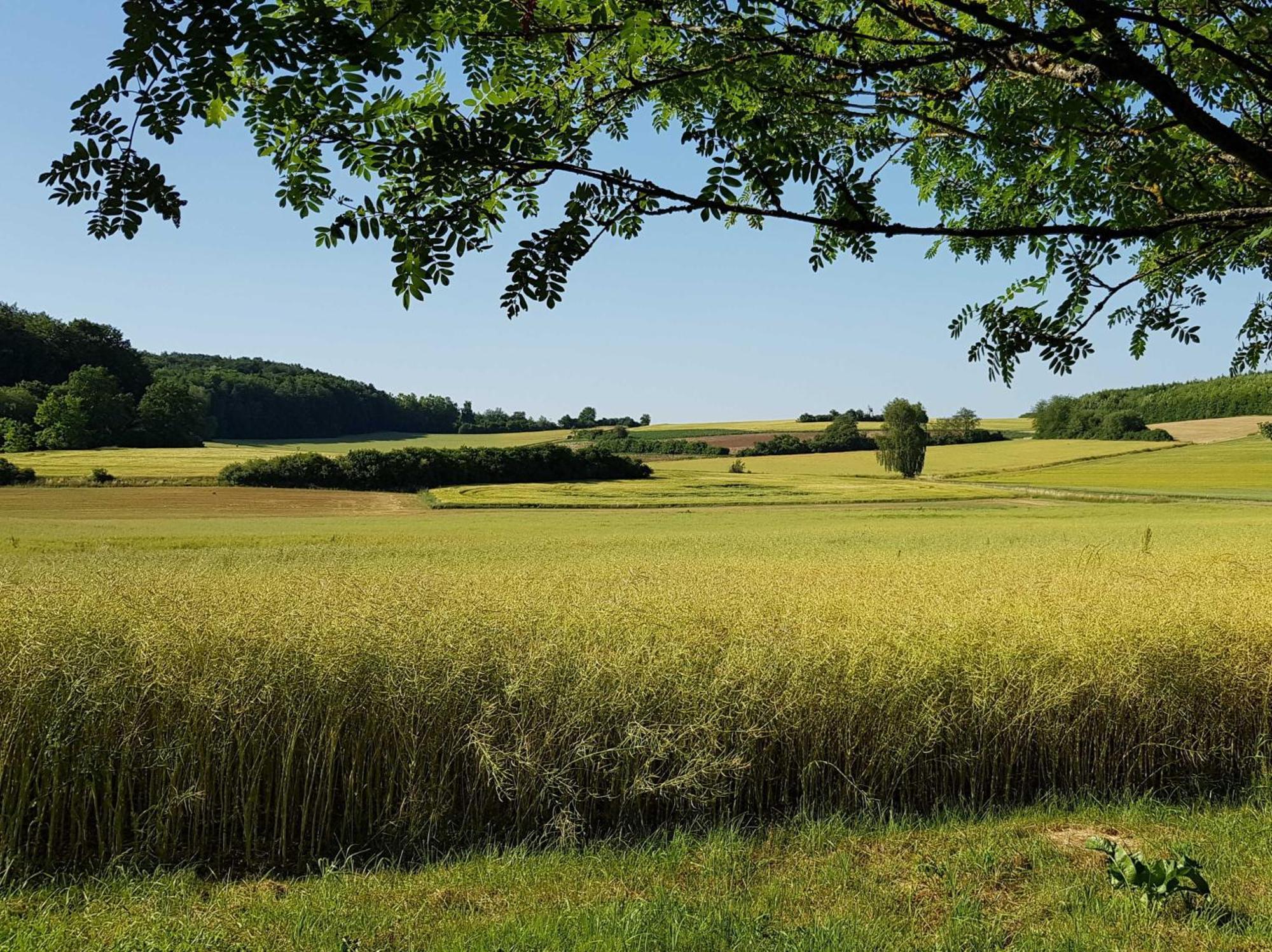 Ferienhaus Forstblick Betzenstein Exteriér fotografie